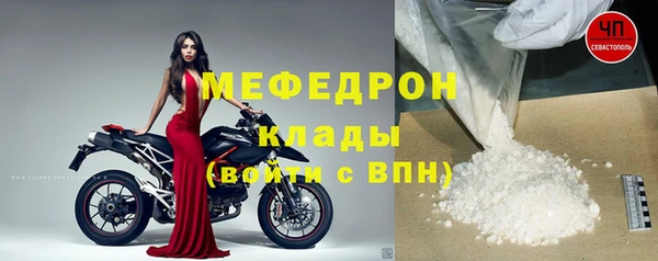 стафф Арсеньев