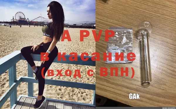 стафф Арсеньев