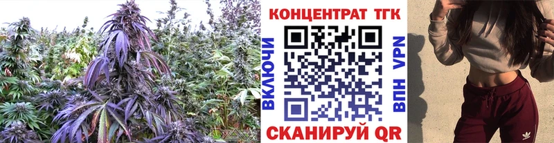 Дистиллят ТГК концентрат  Купить  Краснозаводск 