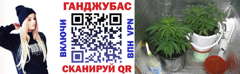Купить где  Краснозаводск  Марихуана Amnesia 